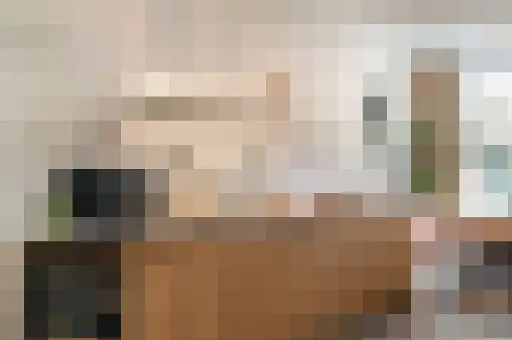 Gedempte Raamgracht 59 Haarlem thumbnail 7