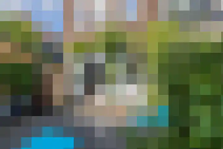 Gedempte Schalk Burgergracht 2 Haarlem thumbnail 18