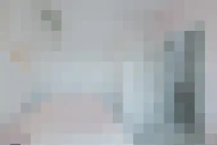 Gedempte Schalk Burgergracht 2 Haarlem thumbnail 22