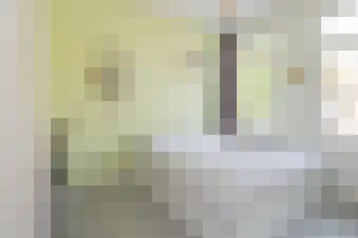 Gedempte Schalk Burgergracht 2 Haarlem thumbnail 26