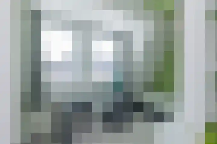 Gedempte Schalk Burgergracht 2 Haarlem thumbnail 30
