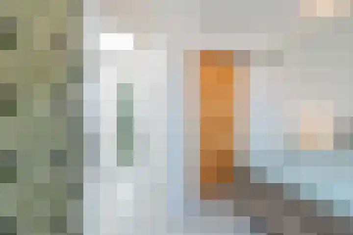 Gedempte Schalk Burgergracht 2 Haarlem thumbnail 34