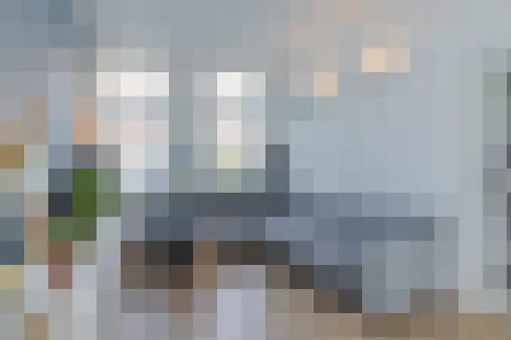 Gedempte Schalk Burgergracht 2 Haarlem thumbnail 9