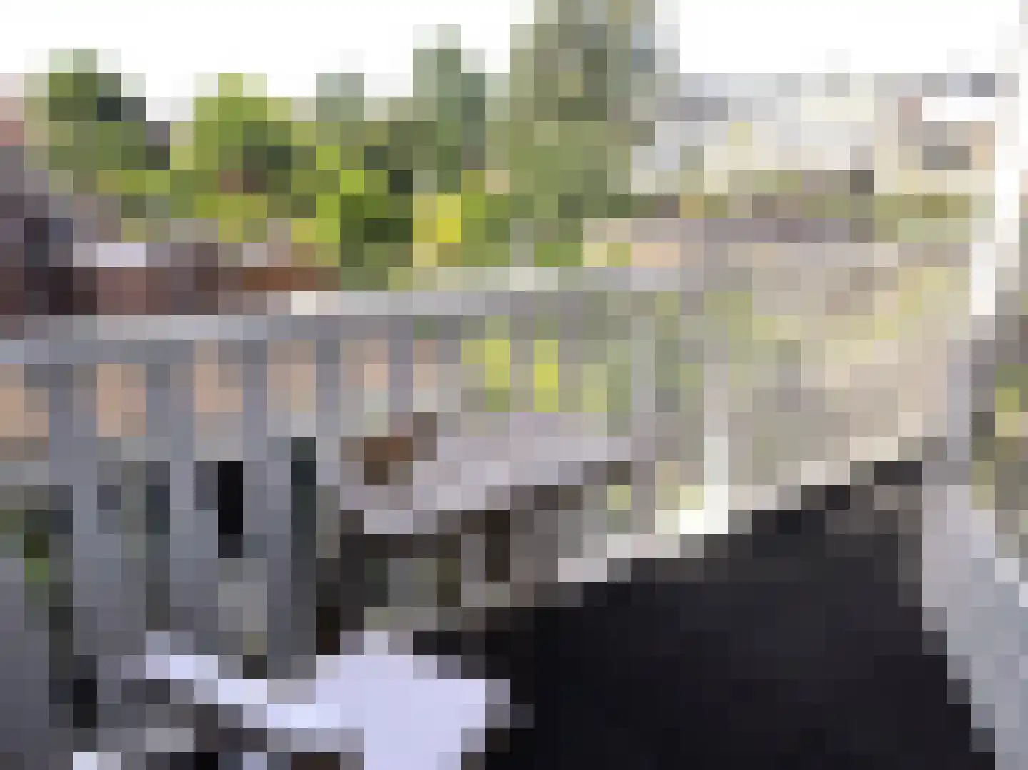 Gedempte Schalk Burgergracht 3 A Haarlem thumbnail 21