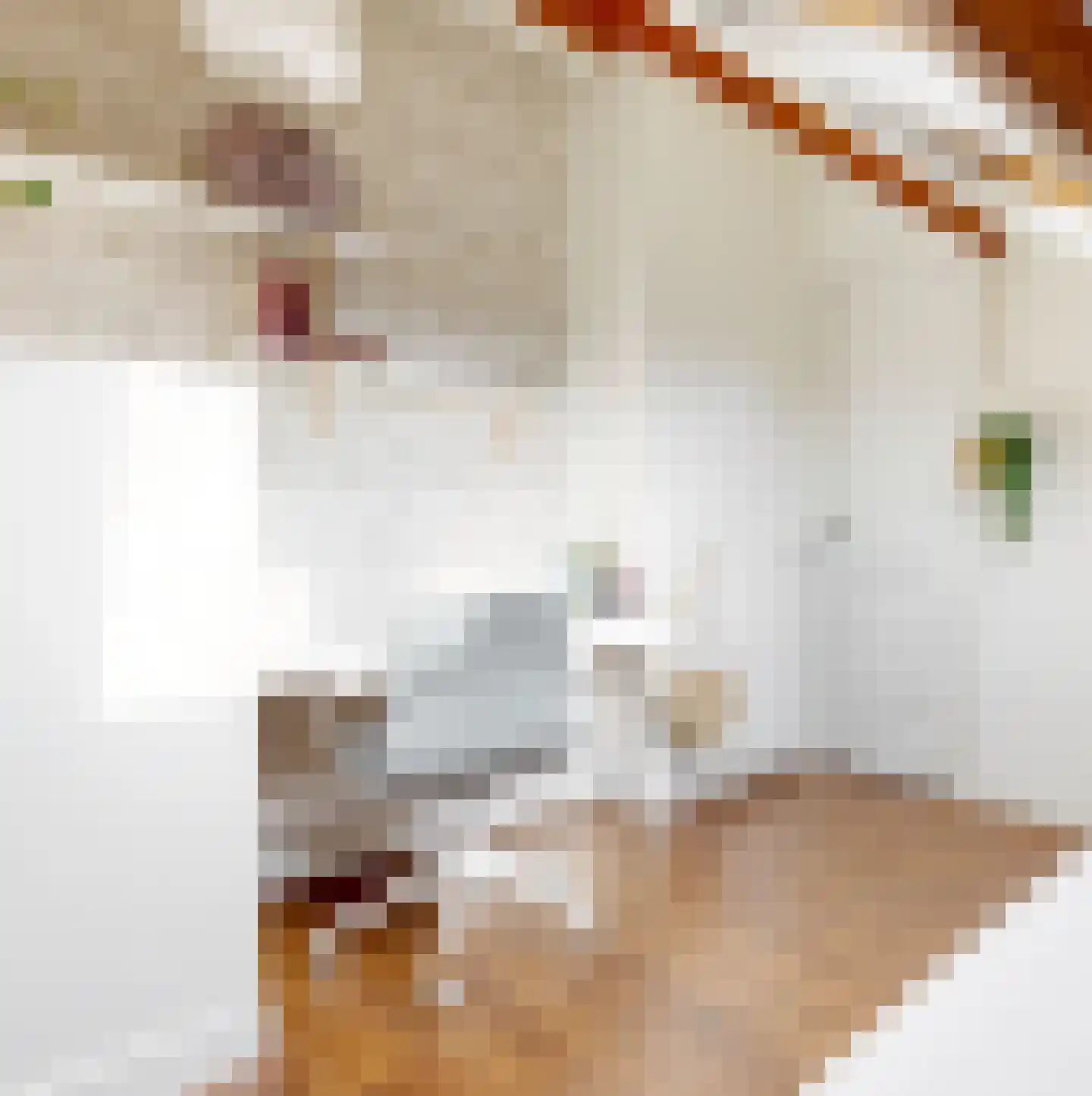 Gedempte Schalk Burgergracht 3 A Haarlem thumbnail 32