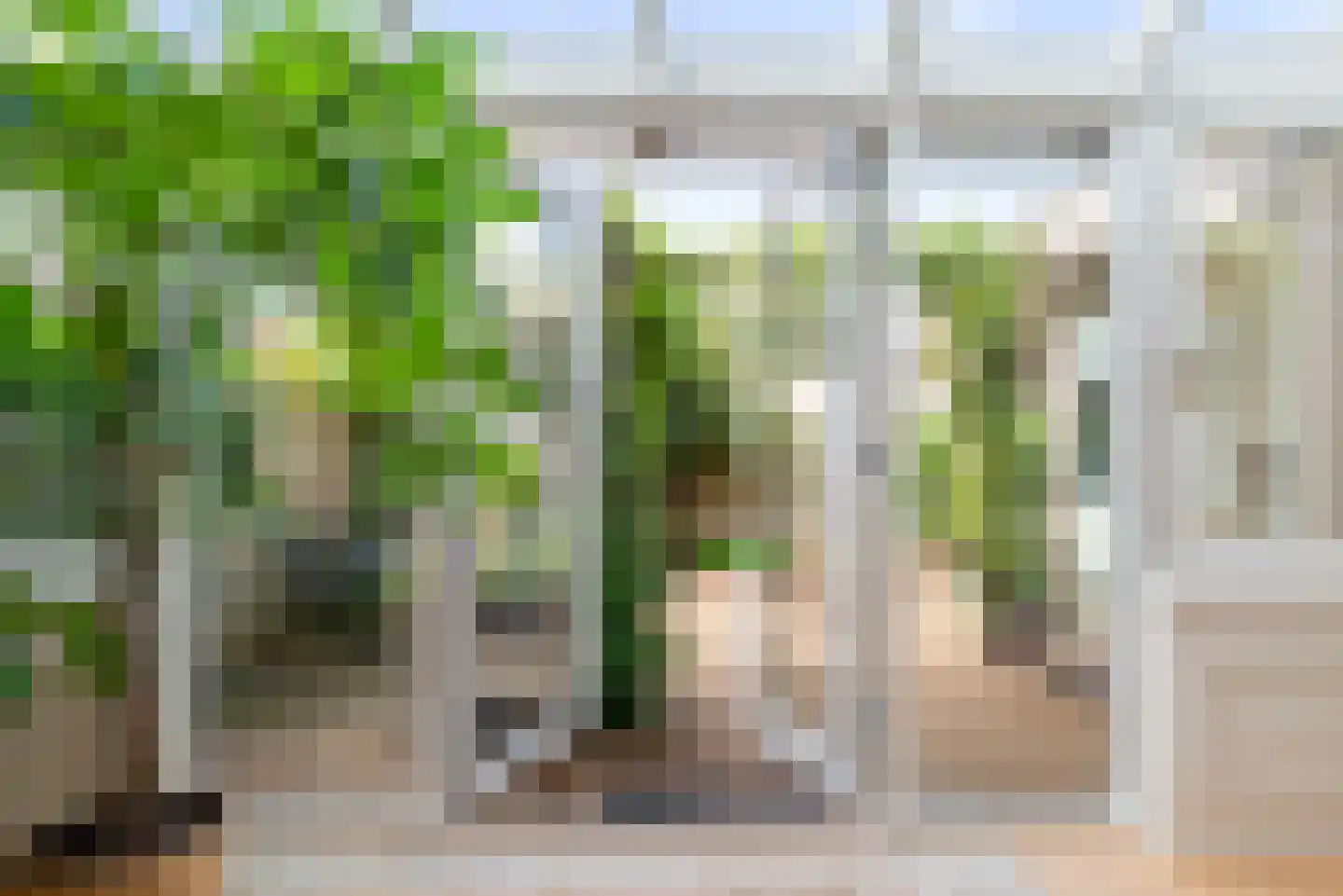Gedempte Schalk Burgergracht 3 D Haarlem thumbnail 20