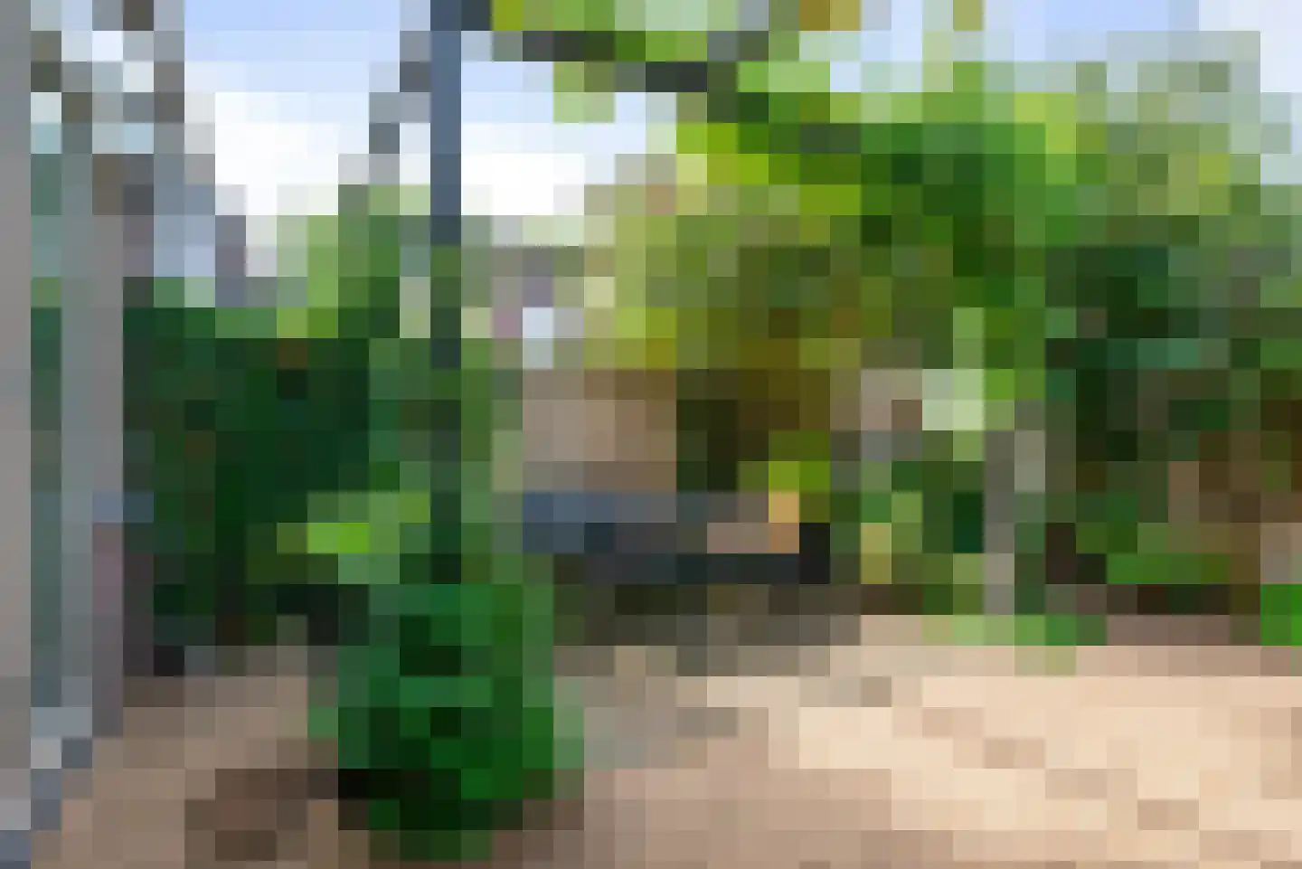 Gedempte Schalk Burgergracht 3 D Haarlem thumbnail 22