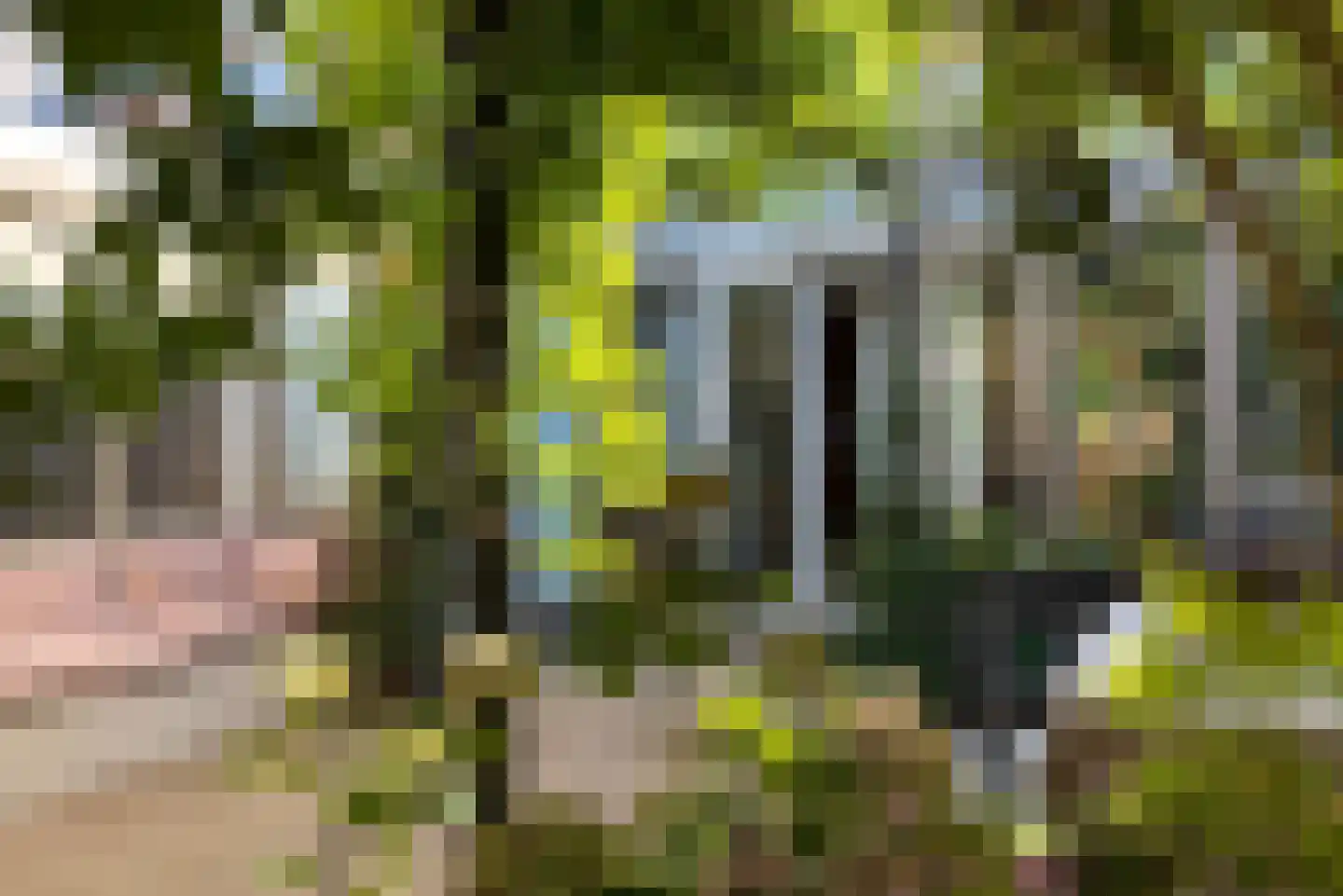 Gedempte Schalk Burgergracht 3 D Haarlem thumbnail 25
