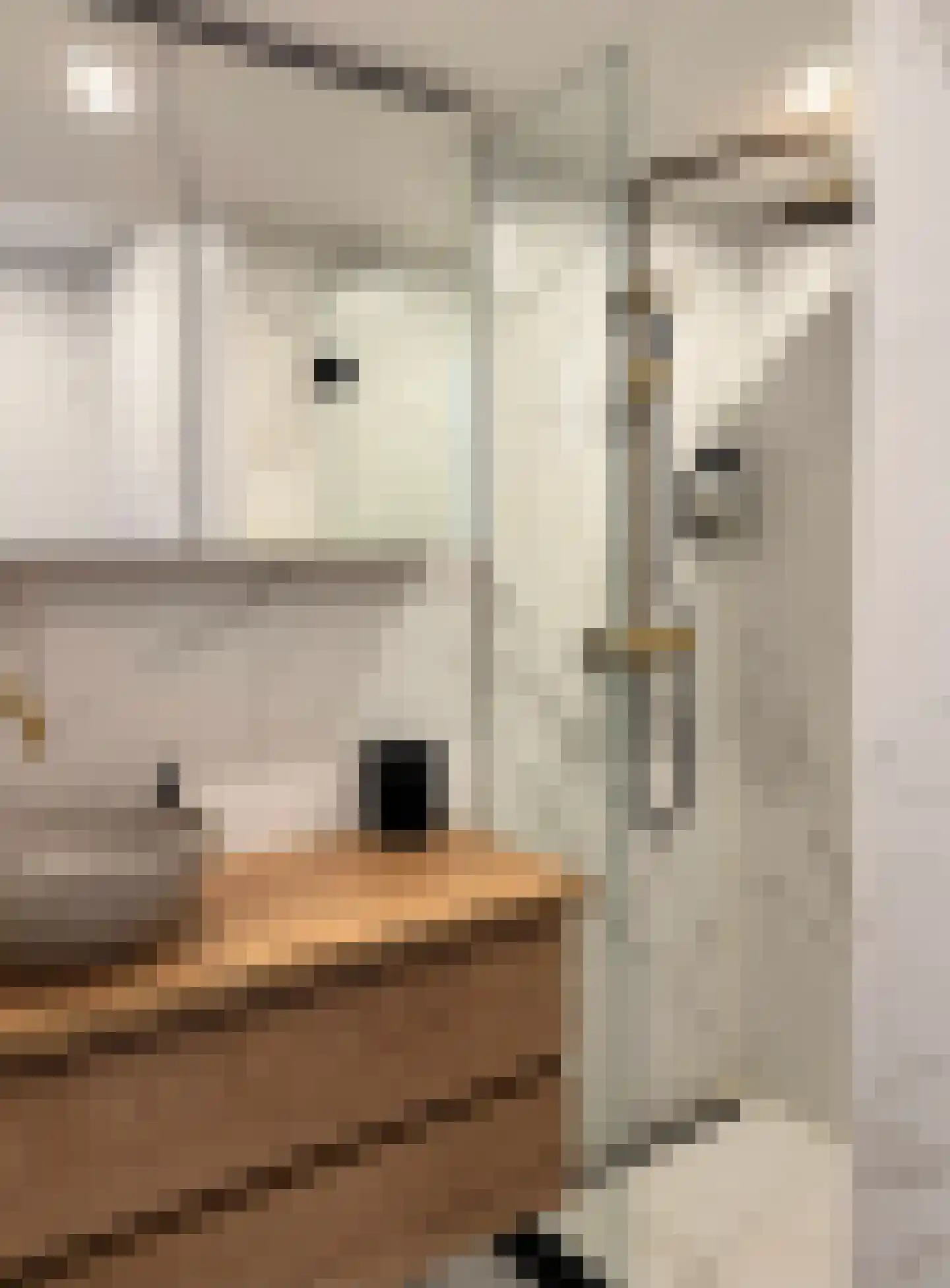 Gedempte Schalk Burgergracht 3 D Haarlem thumbnail 30