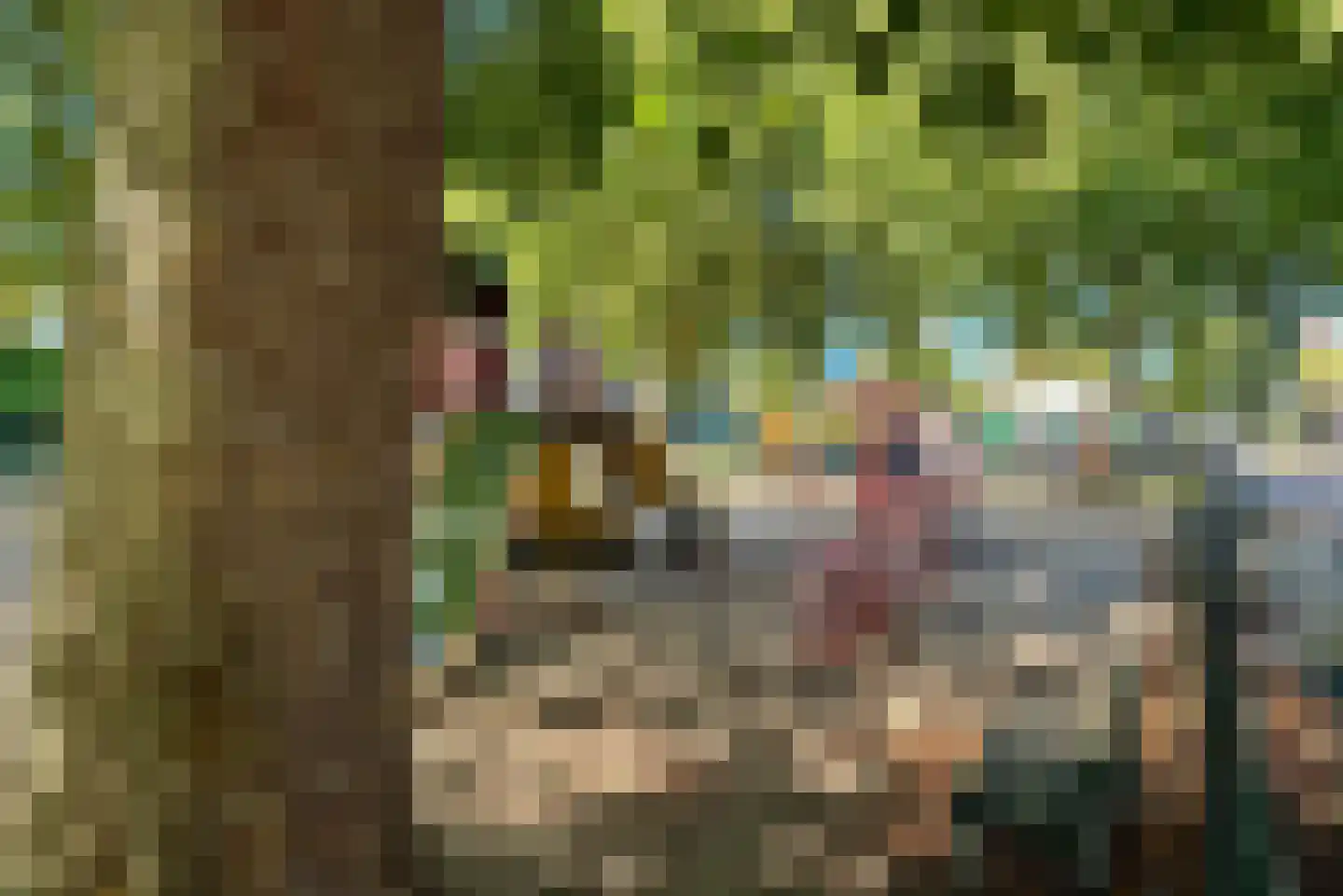 Gedempte Schalk Burgergracht 3 D Haarlem thumbnail 44