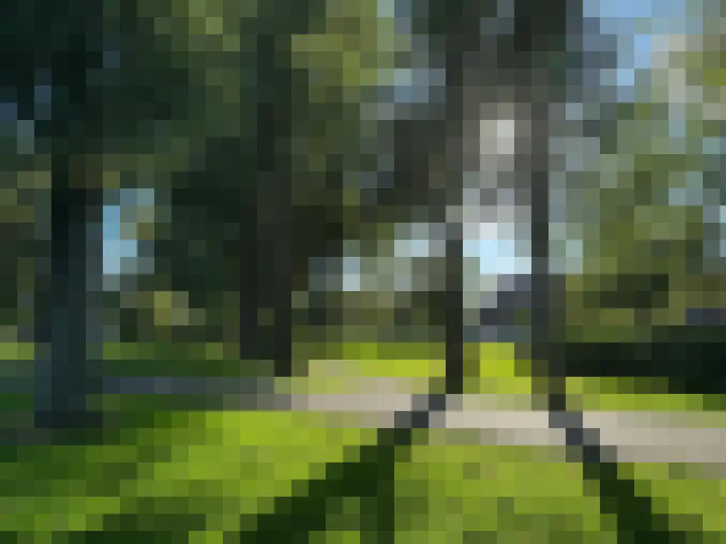 Gedempte Schalk Burgergracht 3 D Haarlem thumbnail 45