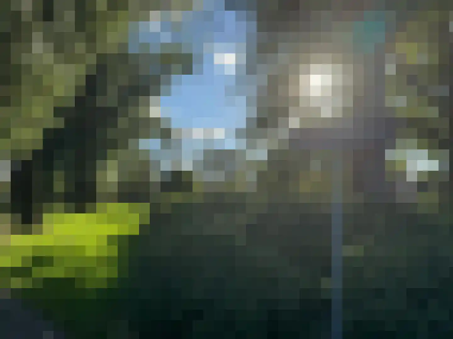 Gedempte Schalk Burgergracht 3 D Haarlem thumbnail 46