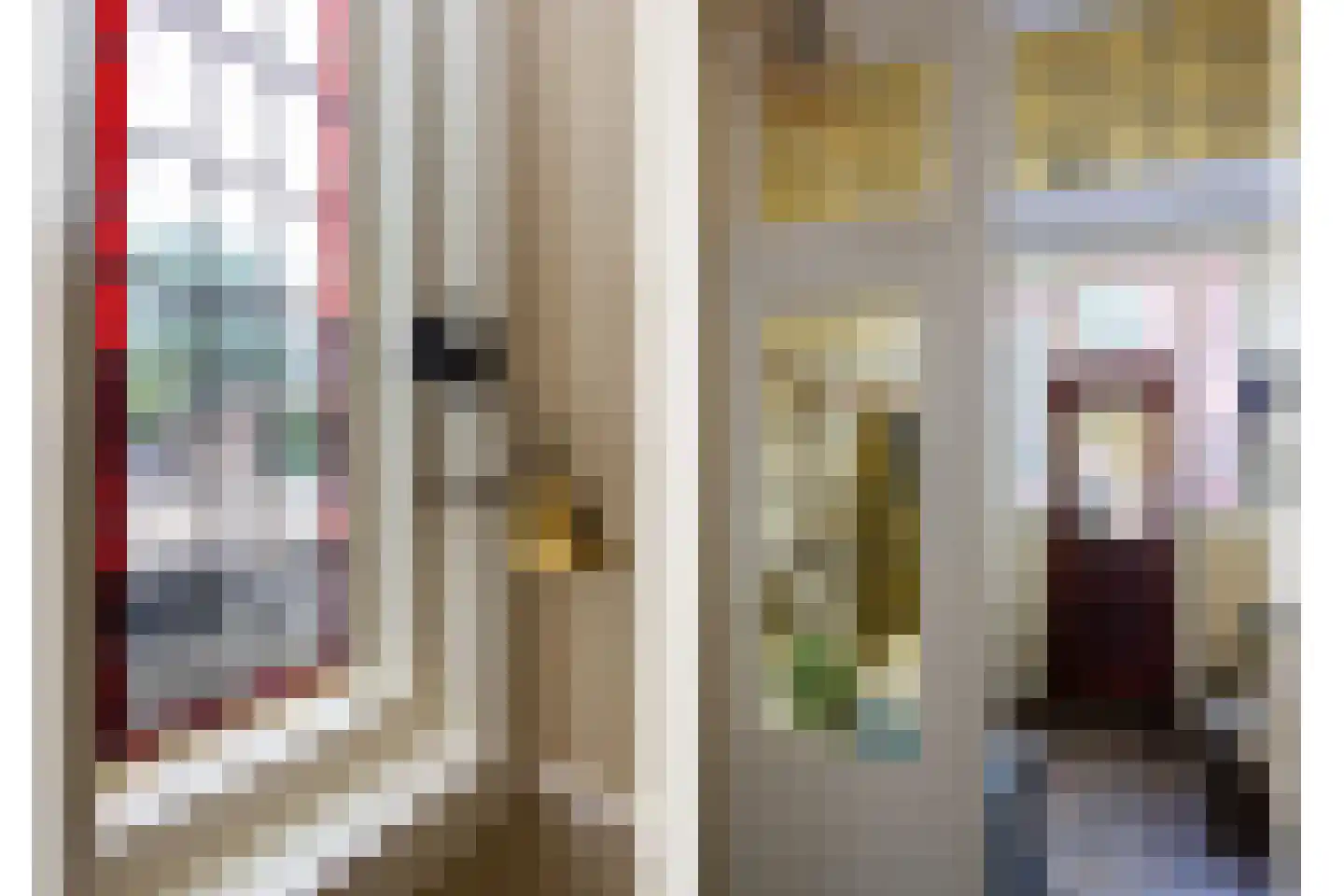 Gedempte Schalk Burgergracht 38 Haarlem thumbnail 15