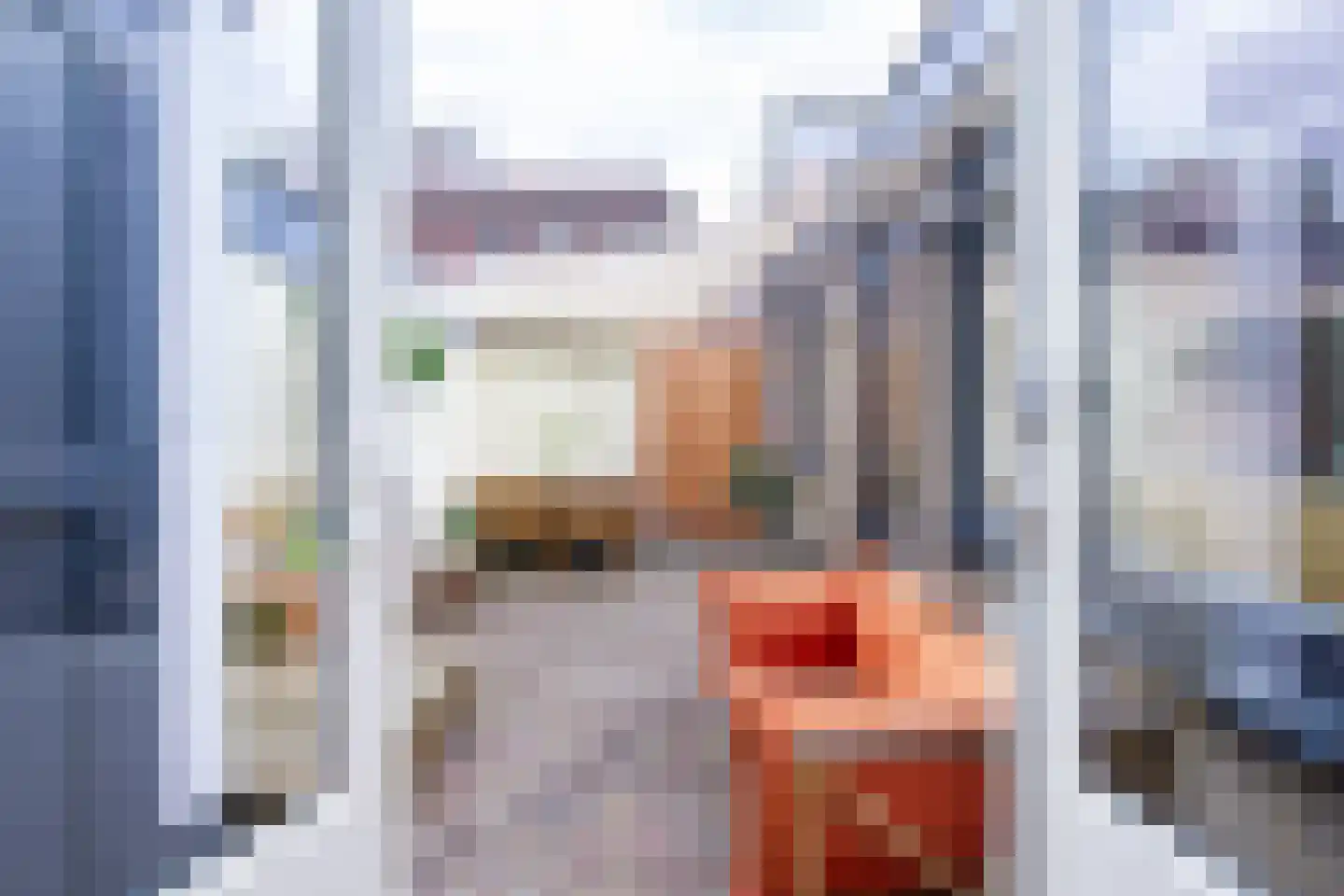 Gedempte Schalk Burgergracht 38 Haarlem thumbnail 30