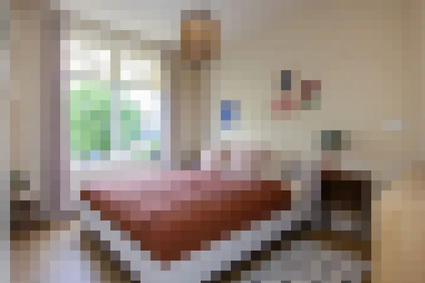 Gedempte Schalk Burgergracht 38 Haarlem thumbnail 35