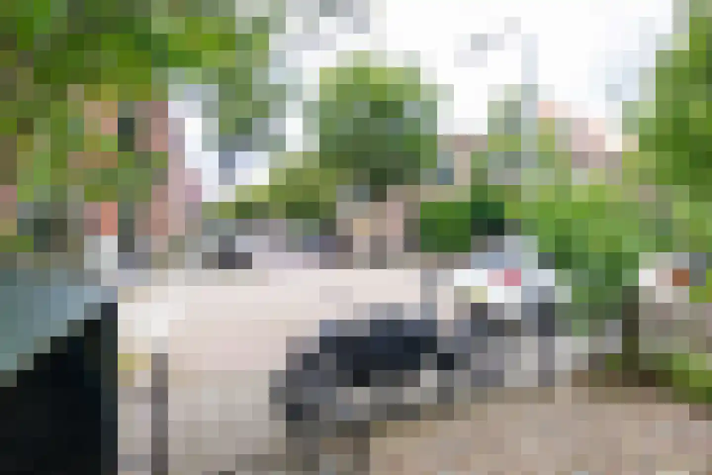 Gedempte Schalk Burgergracht 38 Haarlem thumbnail 45