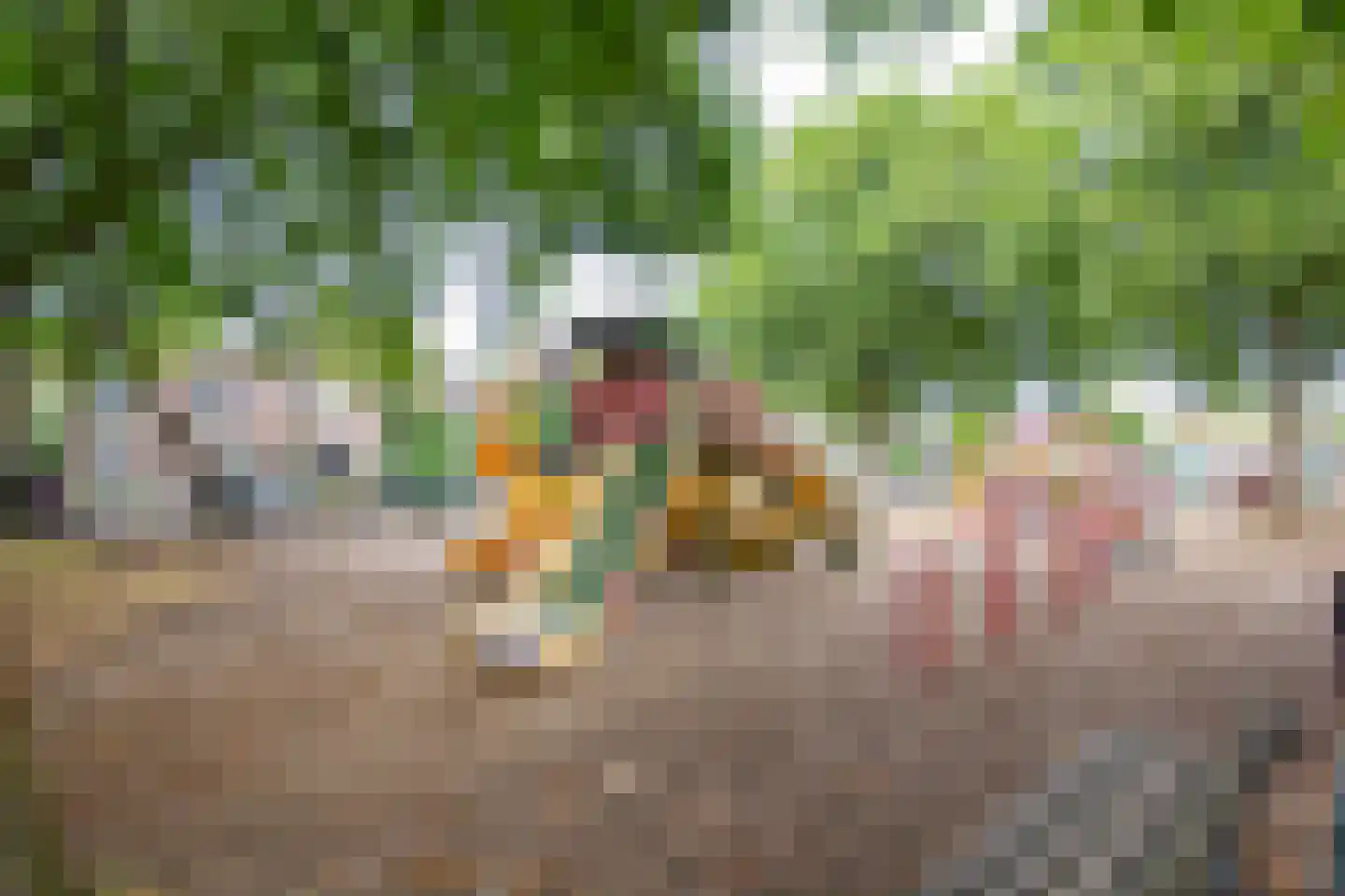 Gedempte Schalk Burgergracht 38 Haarlem thumbnail 47