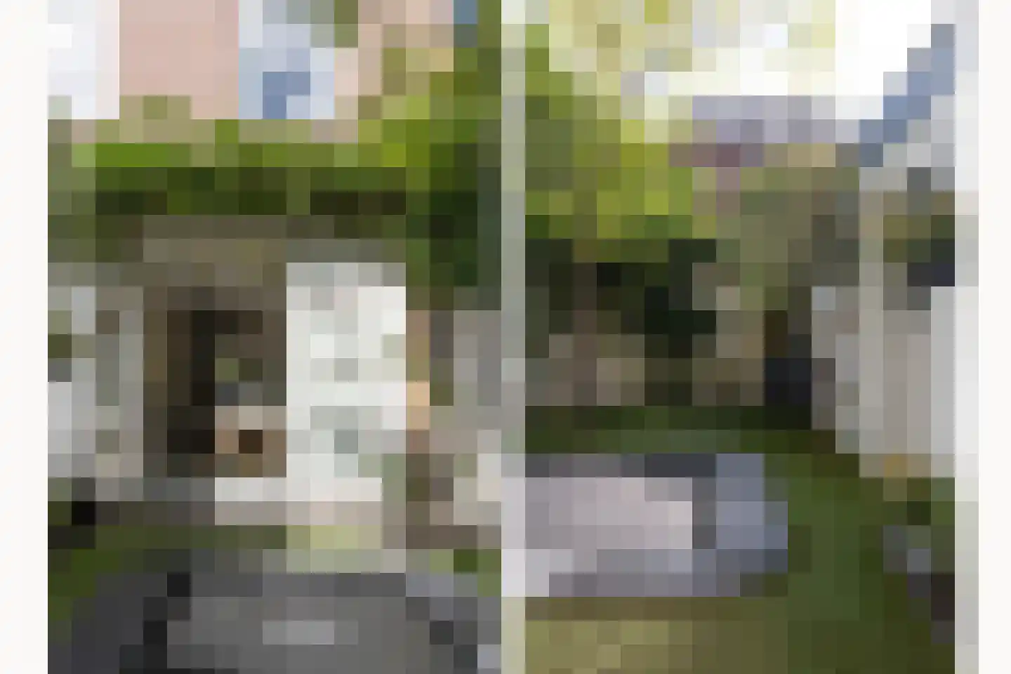 Gedempte Schalk Burgergracht 42 Haarlem thumbnail 17