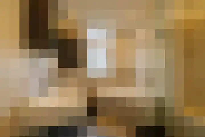 Gedempte Schalk Burgergracht 65 Haarlem thumbnail 15