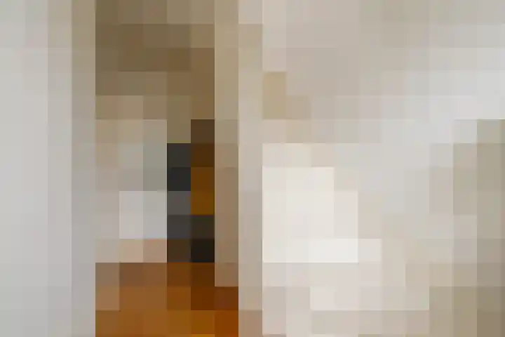 Gedempte Schalk Burgergracht 65 Haarlem thumbnail 22