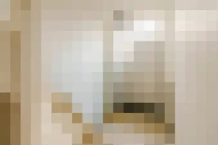 Gedempte Schalk Burgergracht 65 Haarlem thumbnail 24