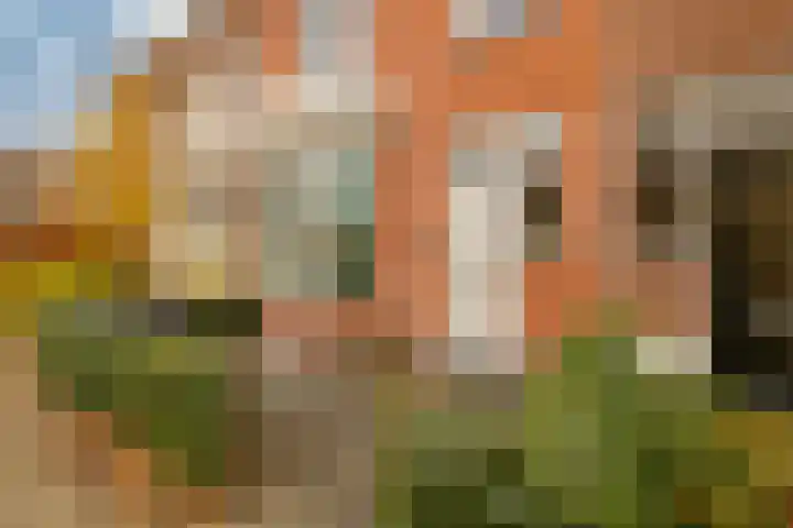 Gedempte Schalk Burgergracht 65 Haarlem thumbnail 25