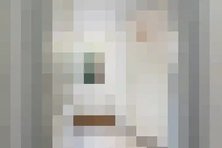 Gedempte Schalk Burgergracht 69 Haarlem thumbnail 13