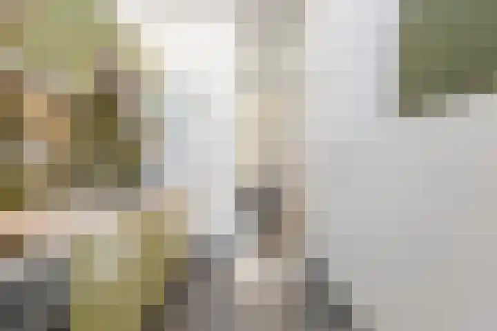 Gedempte Schalk Burgergracht 69 Haarlem thumbnail 15