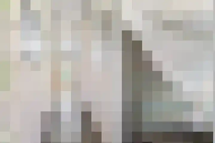 Gedempte Schalk Burgergracht 69 Haarlem thumbnail 17
