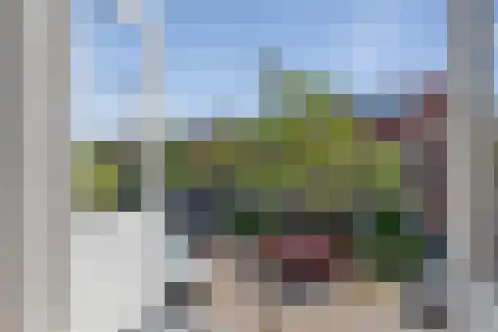 Gedempte Schalk Burgergracht 69 Haarlem thumbnail 21