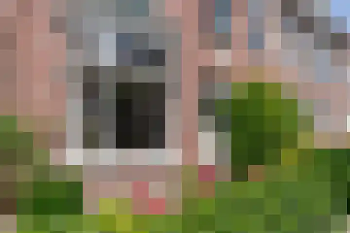 Gedempte Schalk Burgergracht 69 Haarlem thumbnail 26