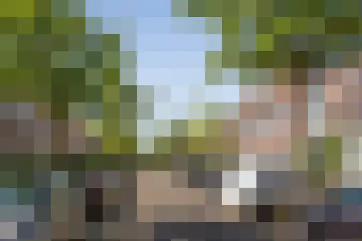 Gedempte Schalk Burgergracht 69 Haarlem thumbnail 27