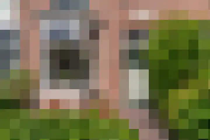 Gedempte Schalk Burgergracht 69 Haarlem thumbnail 5