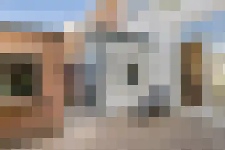 Gedempte Schalk Burgergracht 69 Haarlem thumbnail 8