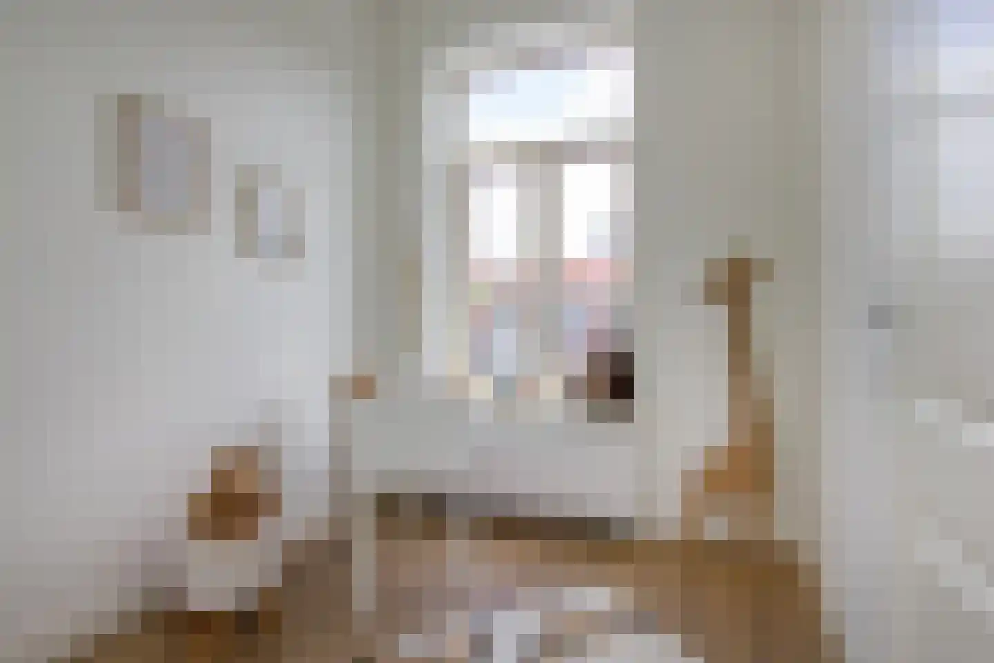 Gedempte Schalk Burgergracht 85 Haarlem thumbnail 31