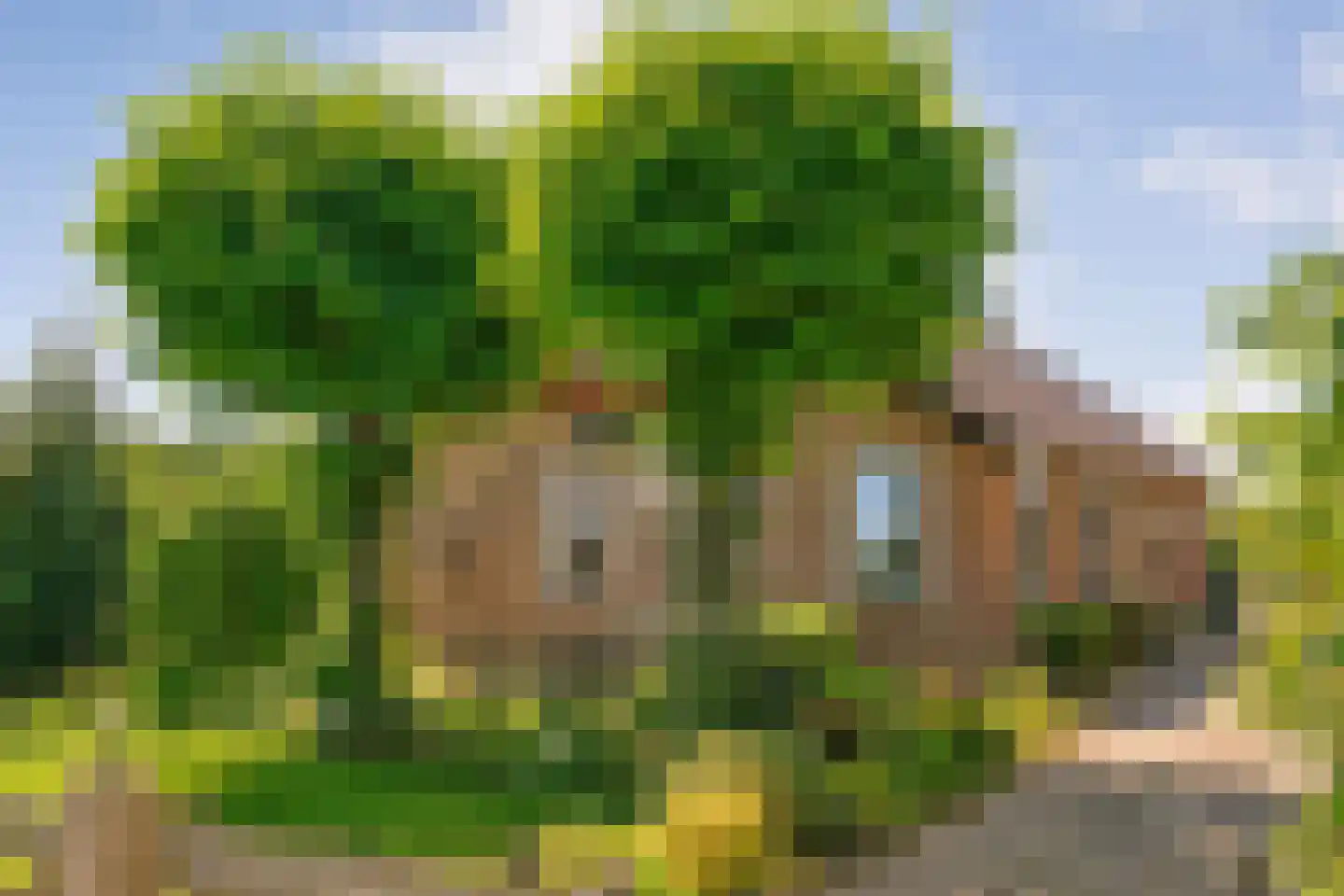 Gedempte Schuinesloot 6 Slagharen