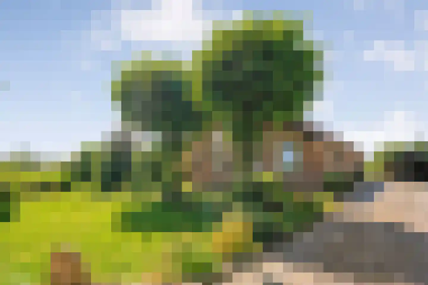 Gedempte Schuinesloot 6 Slagharen thumbnail 10