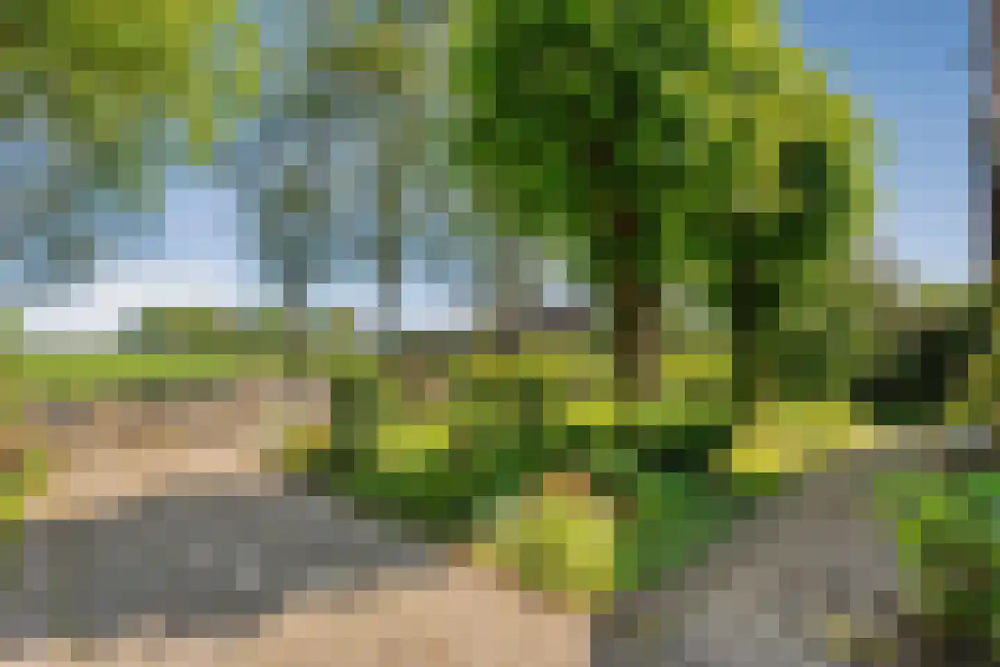 Gedempte Schuinesloot 6 Slagharen thumbnail 11