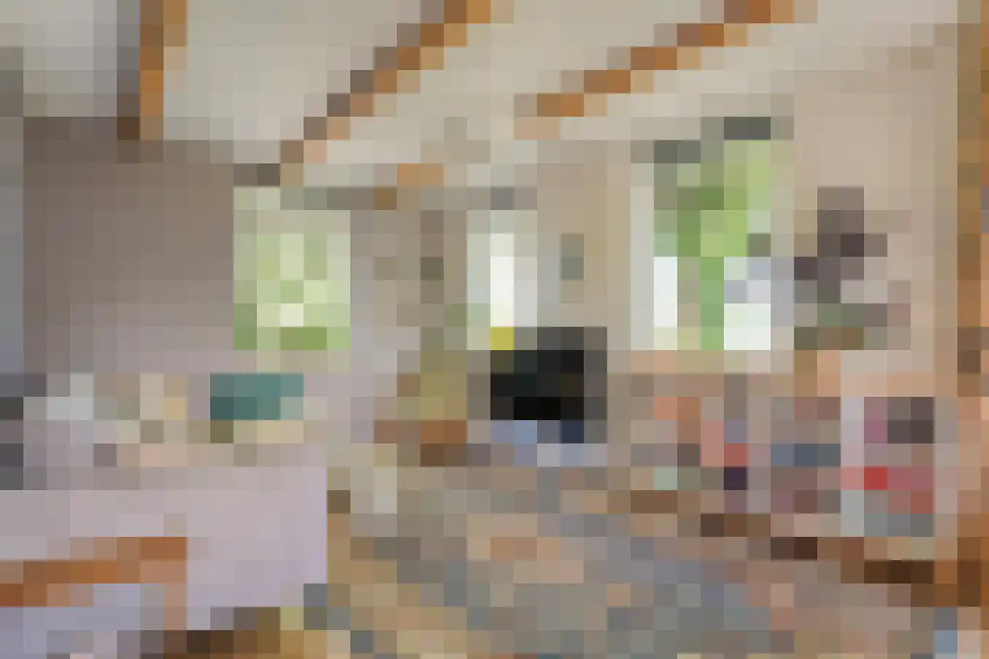 Gedempte Schuinesloot 6 Slagharen thumbnail 15