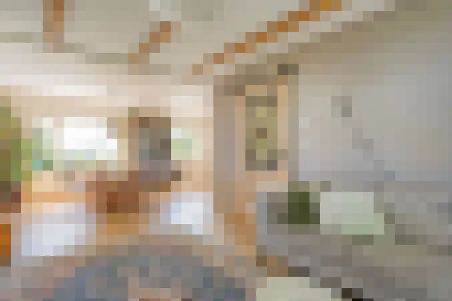 Gedempte Schuinesloot 6 Slagharen thumbnail 16
