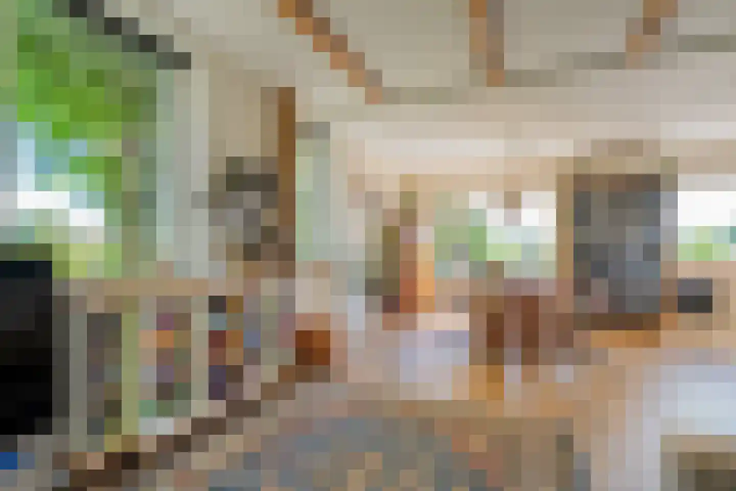 Gedempte Schuinesloot 6 Slagharen thumbnail 17