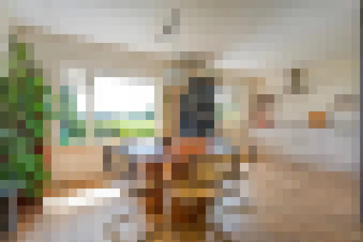 Gedempte Schuinesloot 6 Slagharen thumbnail 18