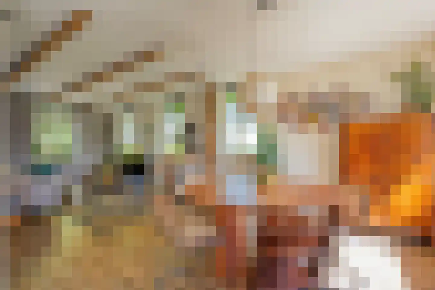 Gedempte Schuinesloot 6 Slagharen thumbnail 20