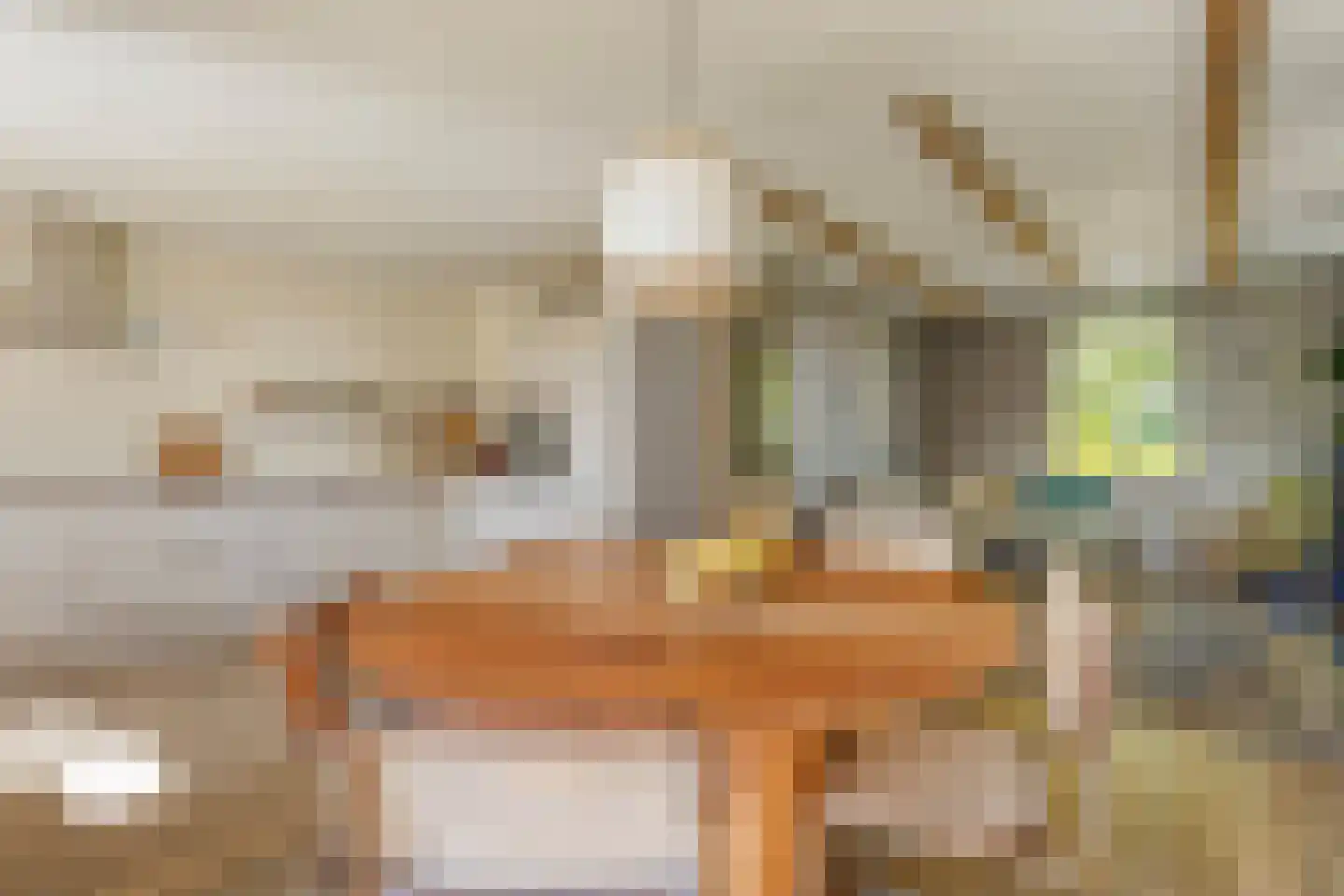 Gedempte Schuinesloot 6 Slagharen thumbnail 21
