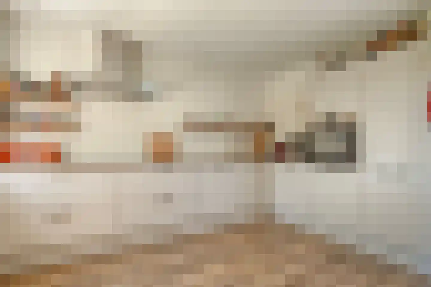 Gedempte Schuinesloot 6 Slagharen thumbnail 22