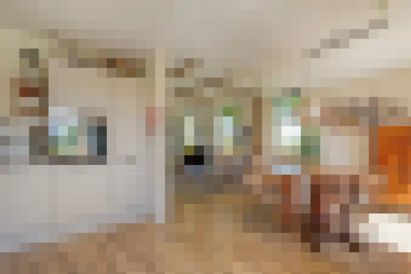 Gedempte Schuinesloot 6 Slagharen thumbnail 23
