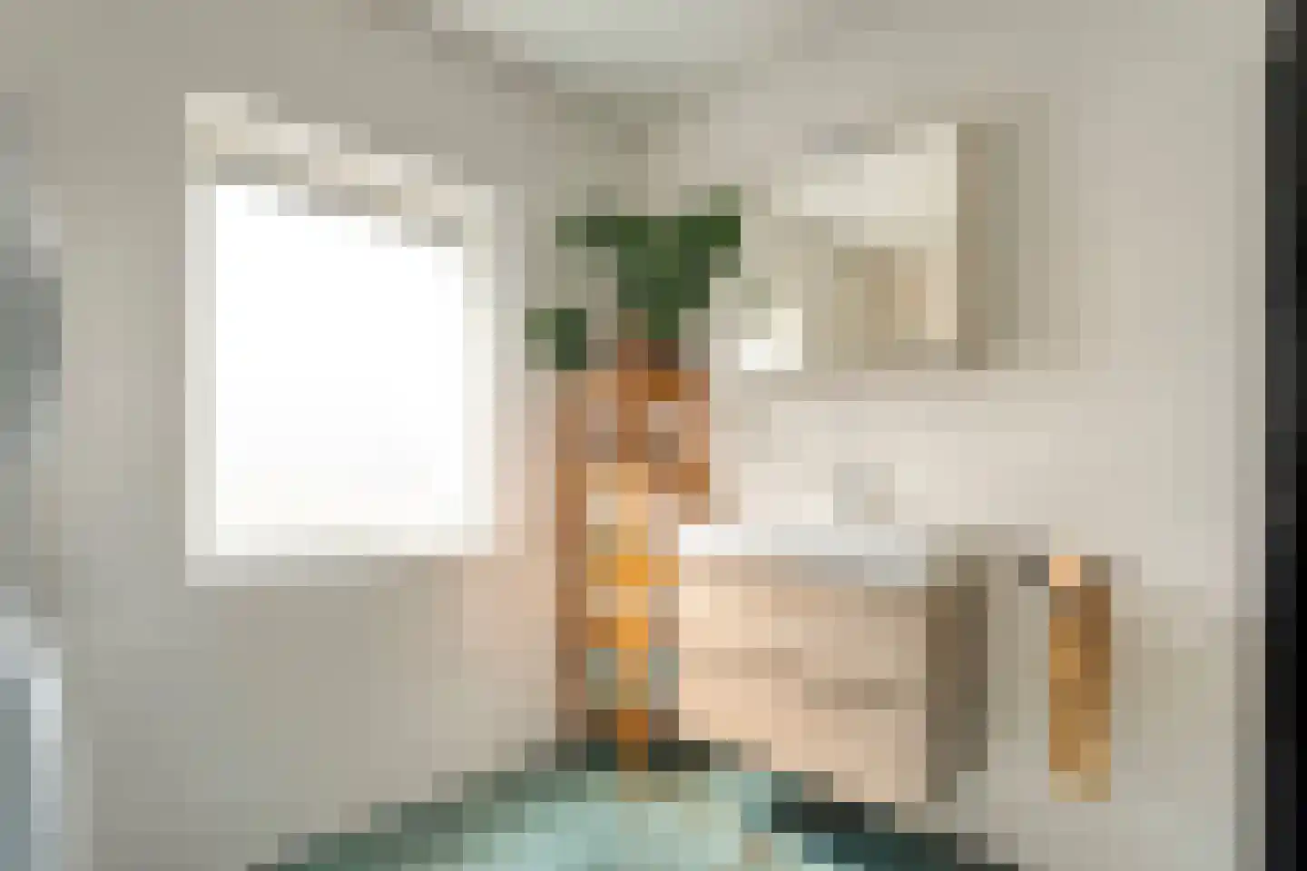 Gedempte Schuinesloot 6 Slagharen thumbnail 31