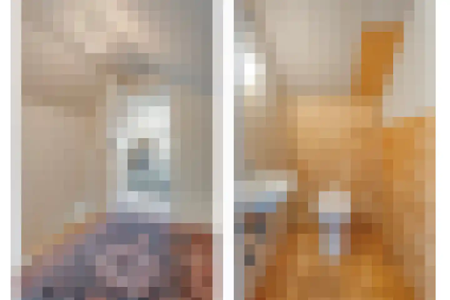 Gedempte Schuinesloot 6 Slagharen thumbnail 36