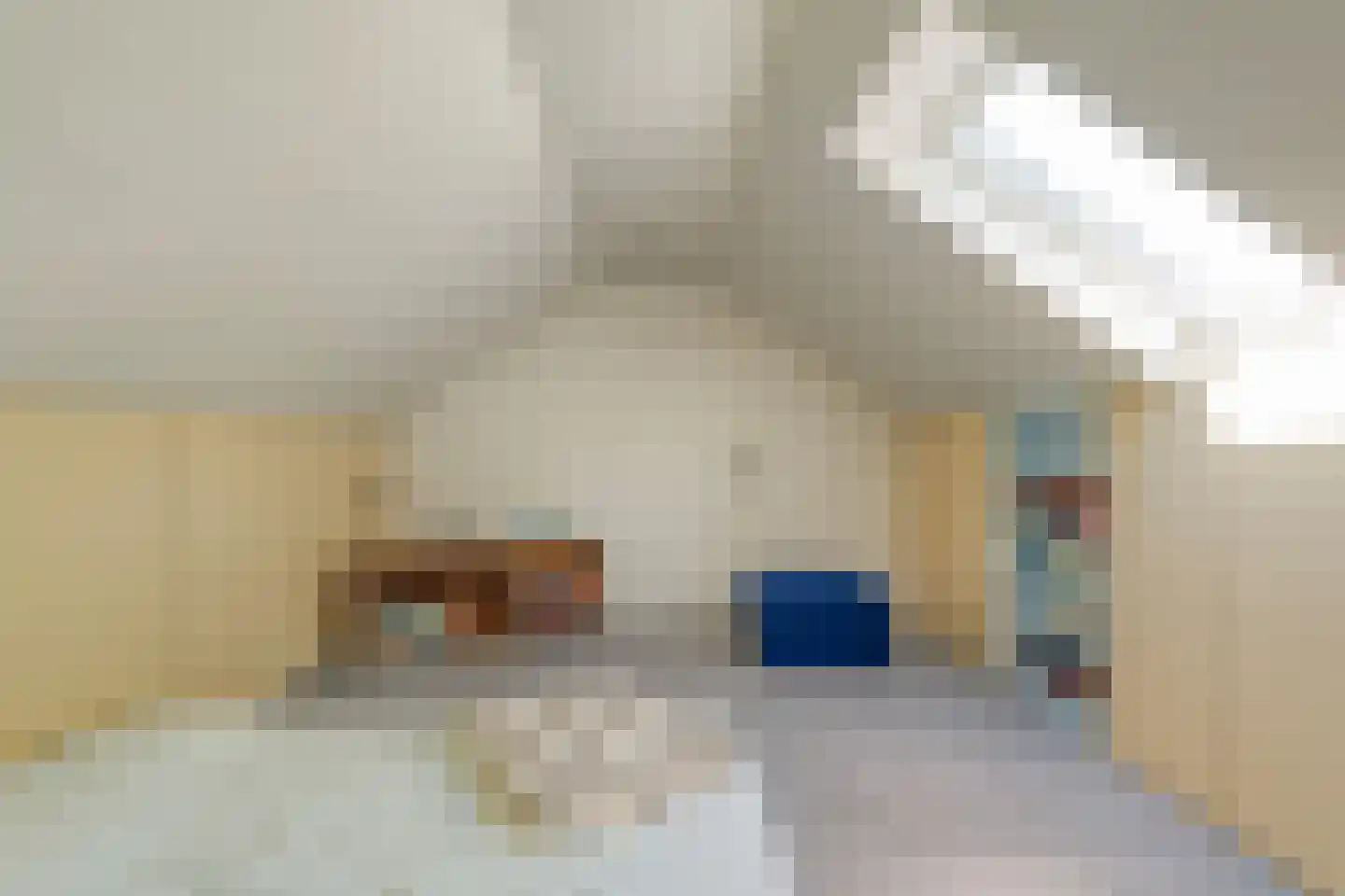 Gedempte Schuinesloot 6 Slagharen thumbnail 38