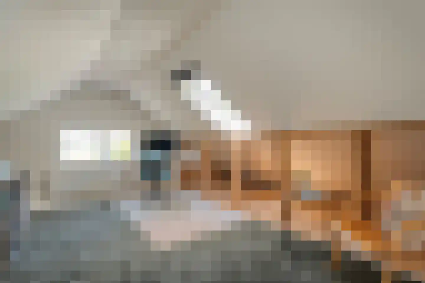 Gedempte Schuinesloot 6 Slagharen thumbnail 39